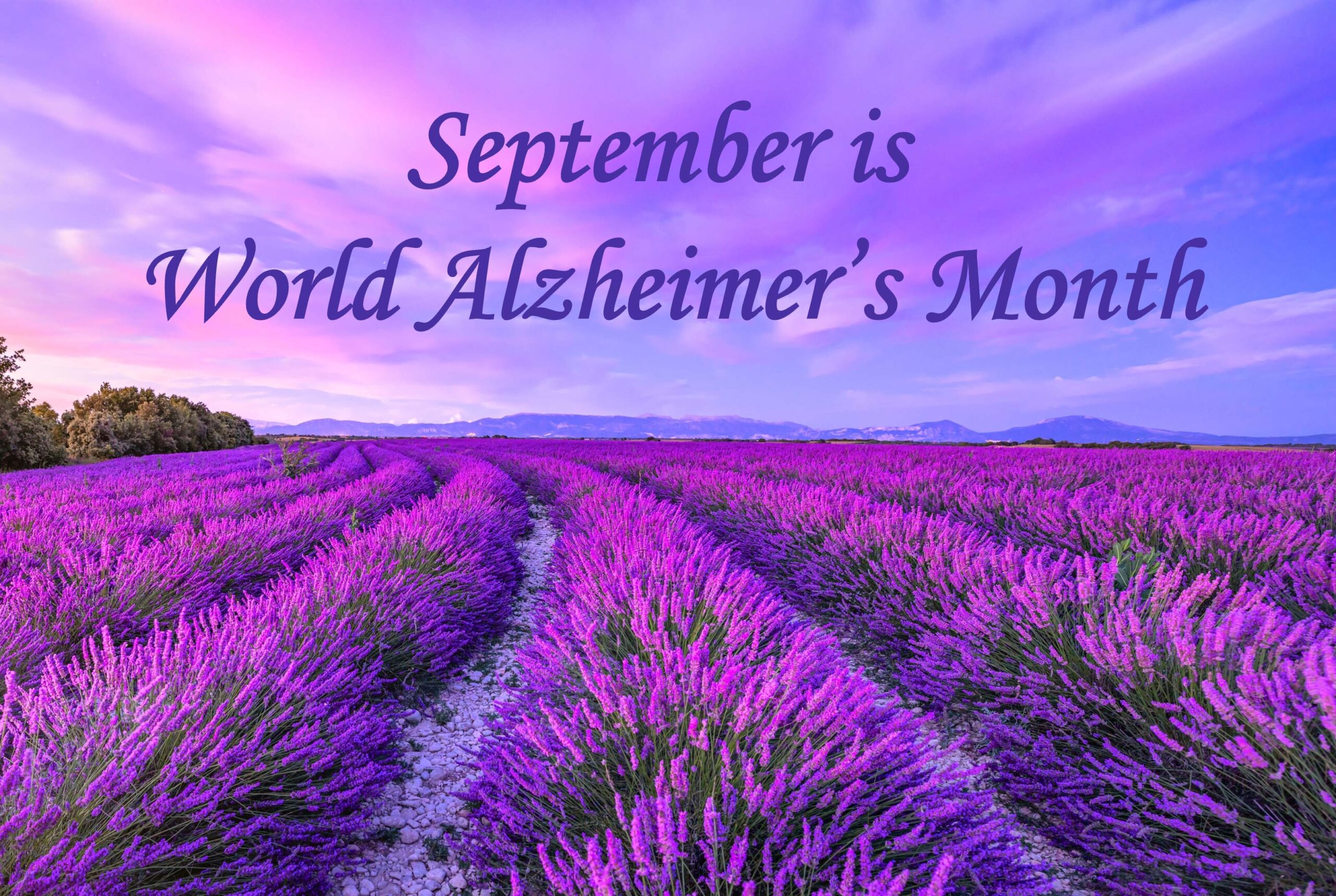 World Alzheimer's Month