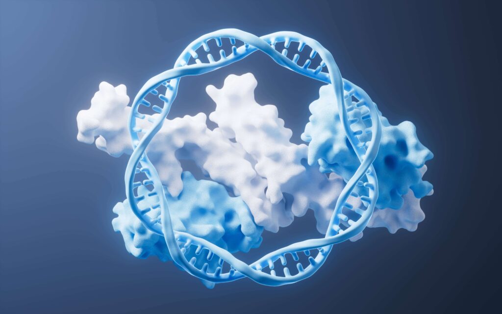 An image of the DdrC protein with DNA, repairing it in an infinite loop.