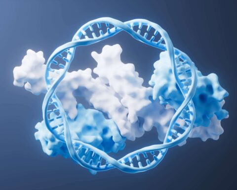 An image of the DdrC protein with DNA, repairing it in an infinite loop.