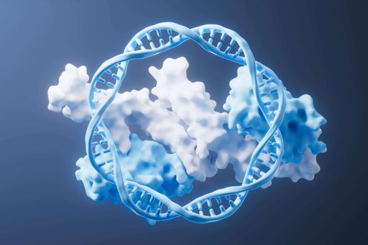 An image of the DdrC protein with DNA, repairing it in an infinite loop.