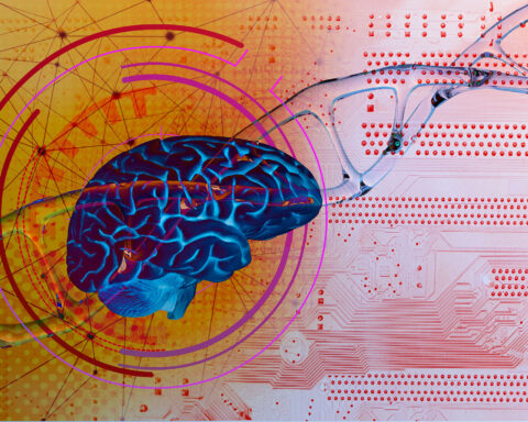 Abstract illustration of a human brain in vibrant colors, highlighting neural networks and synaptic connections. The background features digital circuitry and dynamic patterns, symbolizing neuroplasticity, brain adaptability, and the intersection of neuroscience and technology.