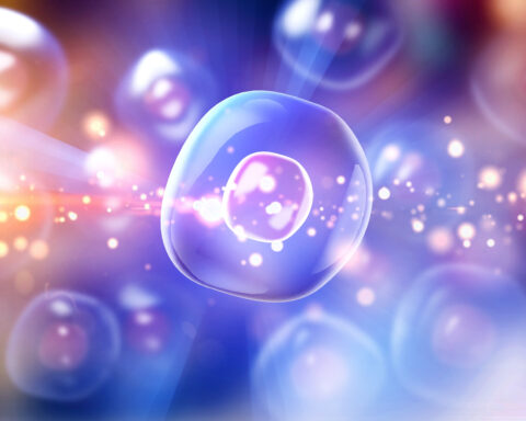 Illustration of a glowing human cell surrounded by soft light and colorful gradients, symbolizing cellular health, autophagy, and processes related to aging and longevity