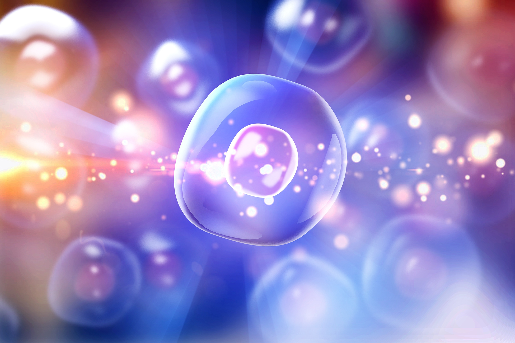 Illustration of a glowing human cell surrounded by soft light and colorful gradients, symbolizing cellular health, autophagy, and processes related to aging and longevity