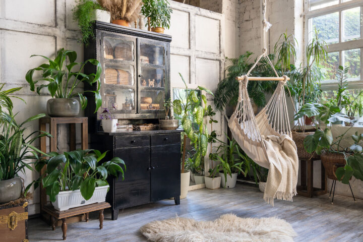 Cozy indoor space with lush houseplants including monstera, ferns, and snake plants. Features a hammock, rustic wooden furniture, and natural light from large windows.