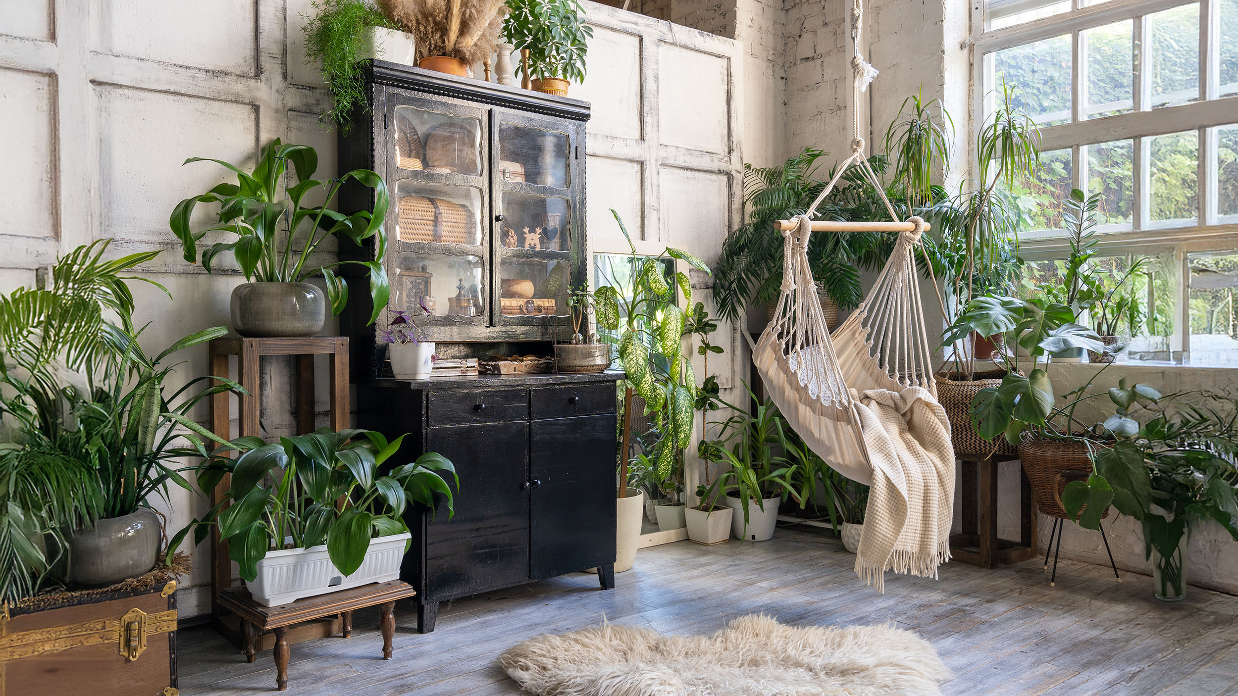 Cozy indoor space with lush houseplants including monstera, ferns, and snake plants. Features a hammock, rustic wooden furniture, and natural light from large windows.