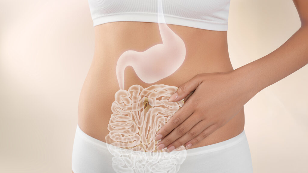 Illustration depicting A young woman with one hand over her stomach with the image of her small and large intestines as a partially transparent underlay. The image imparts the connection between gut microbiome diversity and the aging process.