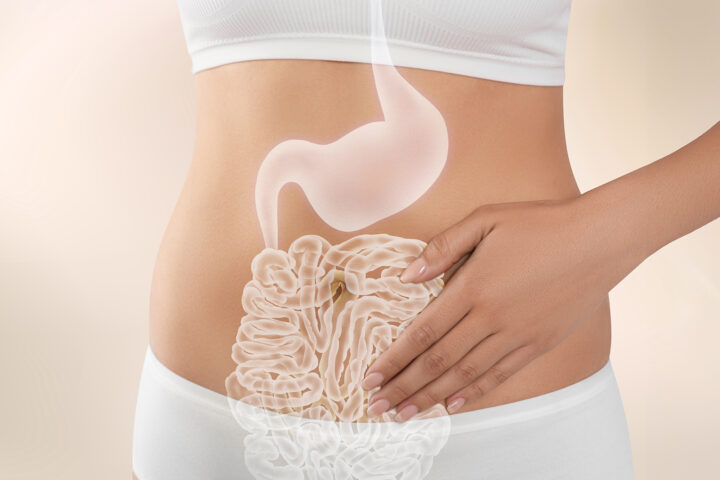 Illustration depicting A young woman with one hand over her stomach with the image of her small and large intestines as a partially transparent underlay. The image imparts the connection between gut microbiome diversity and the aging process.