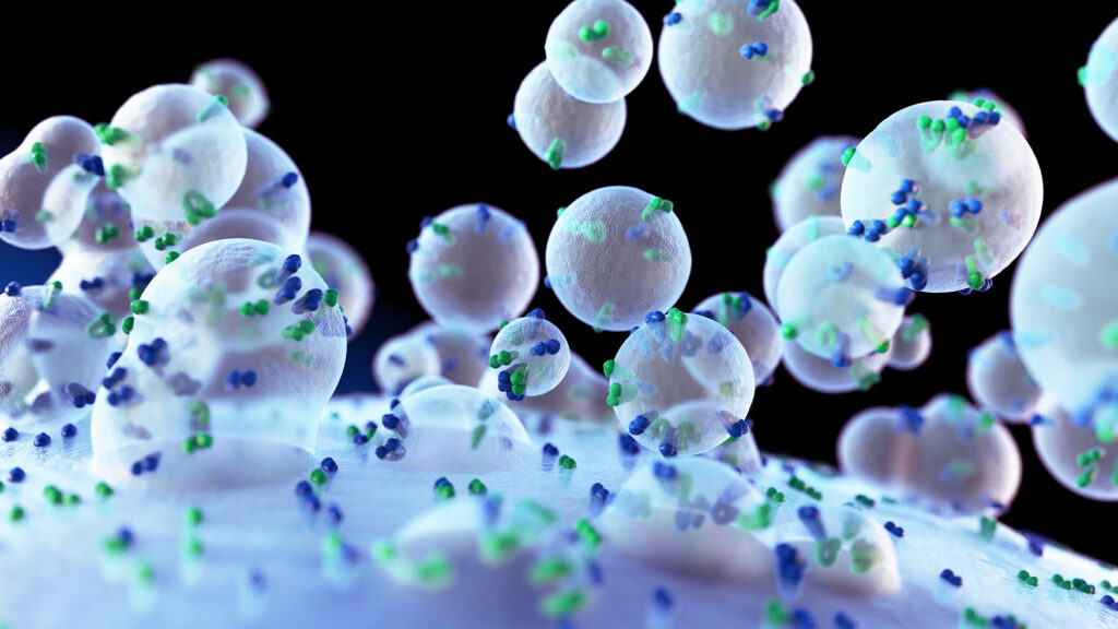 3D rendering of NMN-loaded extracellular vesicles (sEVs) interacting with a cell surface, representing the advanced anti-aging therapy discussed in the article.