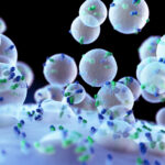 3D rendering of NMN-loaded extracellular vesicles (sEVs) interacting with a cell surface, representing the advanced anti-aging therapy discussed in the article.