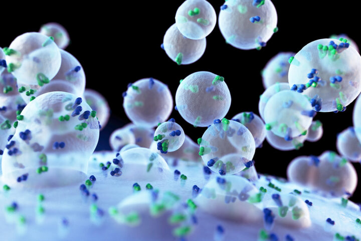 3D rendering of NMN-loaded extracellular vesicles (sEVs) interacting with a cell surface, representing the advanced anti-aging therapy discussed in the article.