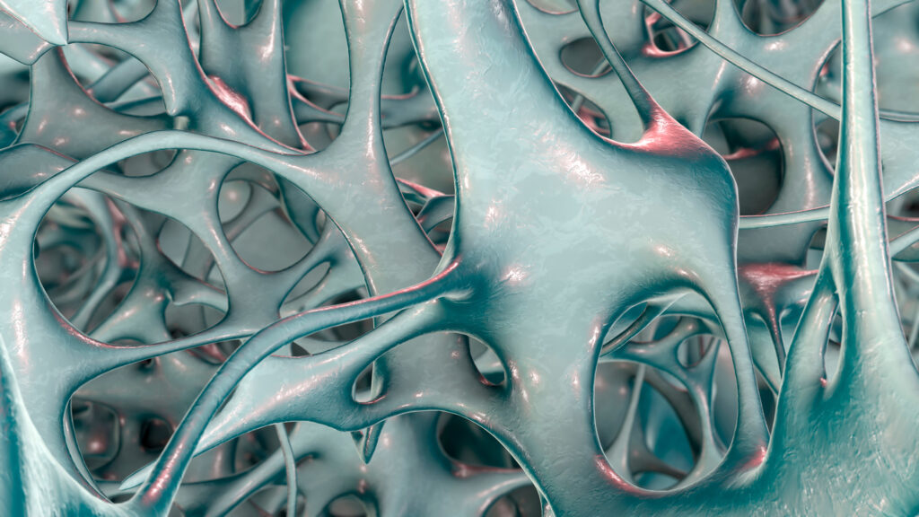 A microscope's view of the bone's trabacular structures, artificially colored in teal and red accents.