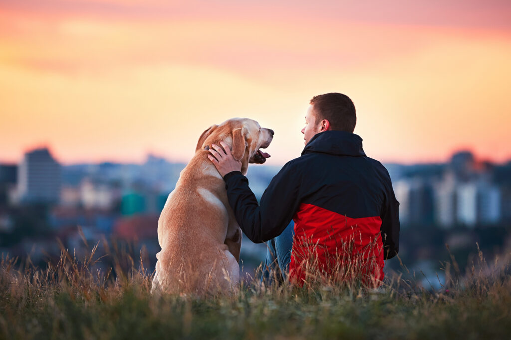 A young man in a black and red jacket sits on a grassy hillside at sunset, gently holding the face of a golden Labrador retriever. The two face each other closely, sharing an intimate and peaceful moment, with the blurred city skyline and vivid orange-pink sky glowing in the background. The dog’s mouth is slightly open as if panting or smiling, while the man looks at him with affection, creating a scene of companionship and tranquility.