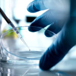 A gloved hand steadies a clear petri dish while a pipette delivers a single droplet of liquid into its center, capturing the precision and delicacy of laboratory stem cell research.