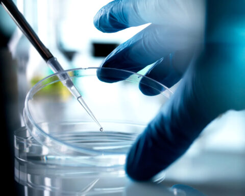 A gloved hand steadies a clear petri dish while a pipette delivers a single droplet of liquid into its center, capturing the precision and delicacy of laboratory stem cell research.