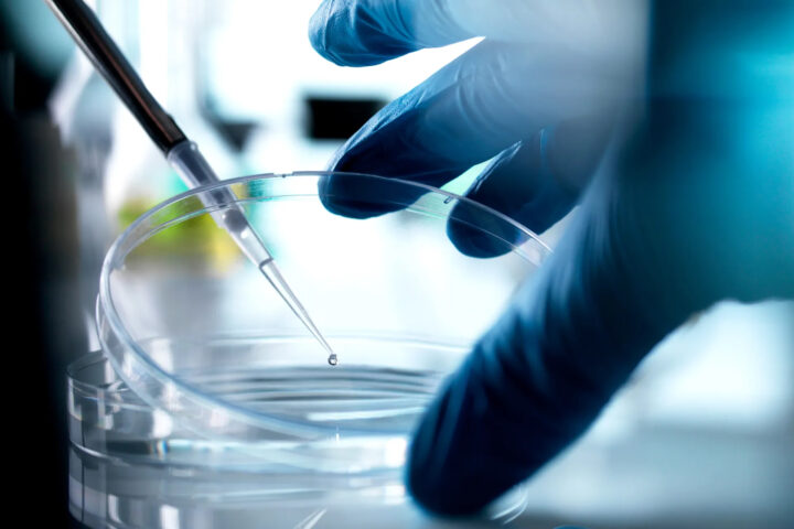 A gloved hand steadies a clear petri dish while a pipette delivers a single droplet of liquid into its center, capturing the precision and delicacy of laboratory stem cell research.