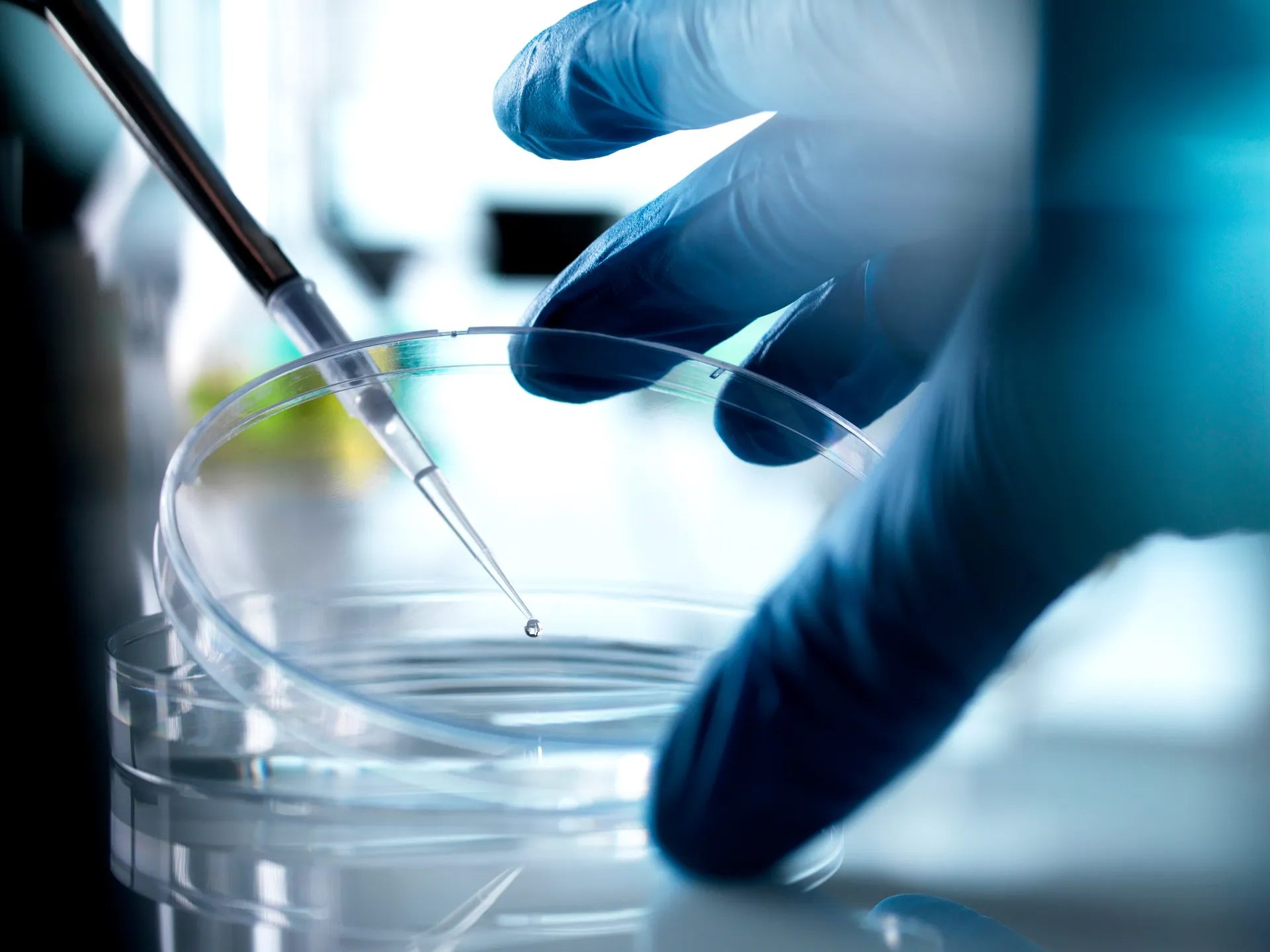 A gloved hand steadies a clear petri dish while a pipette delivers a single droplet of liquid into its center, capturing the precision and delicacy of laboratory stem cell research.