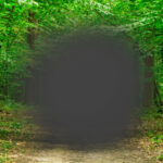 A sunlit forest path framed by lush green trees, but the center of the scene fades into a hazy, dark blur—evoking the experience of age-related macular degeneration, where the world remains vibrant at the edges while the heart of the view quietly disappears.