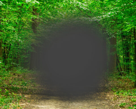 A sunlit forest path framed by lush green trees, but the center of the scene fades into a hazy, dark blur—evoking the experience of age-related macular degeneration, where the world remains vibrant at the edges while the heart of the view quietly disappears.