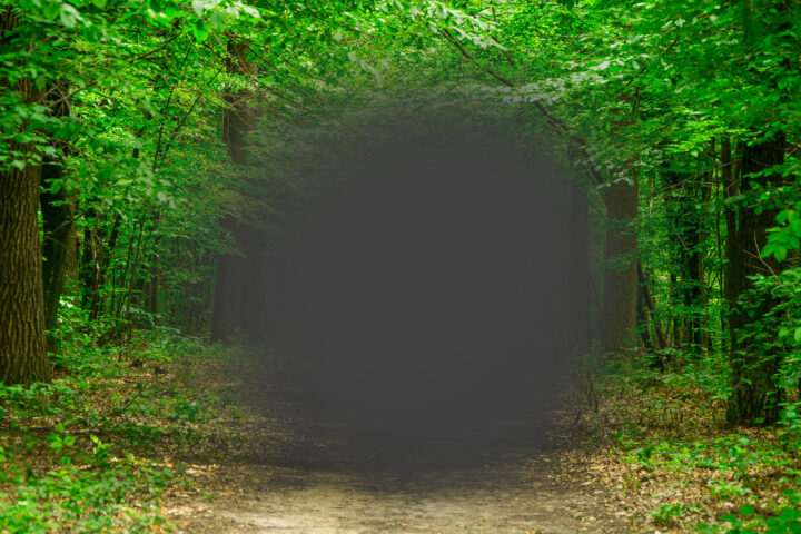 A sunlit forest path framed by lush green trees, but the center of the scene fades into a hazy, dark blur—evoking the experience of age-related macular degeneration, where the world remains vibrant at the edges while the heart of the view quietly disappears.